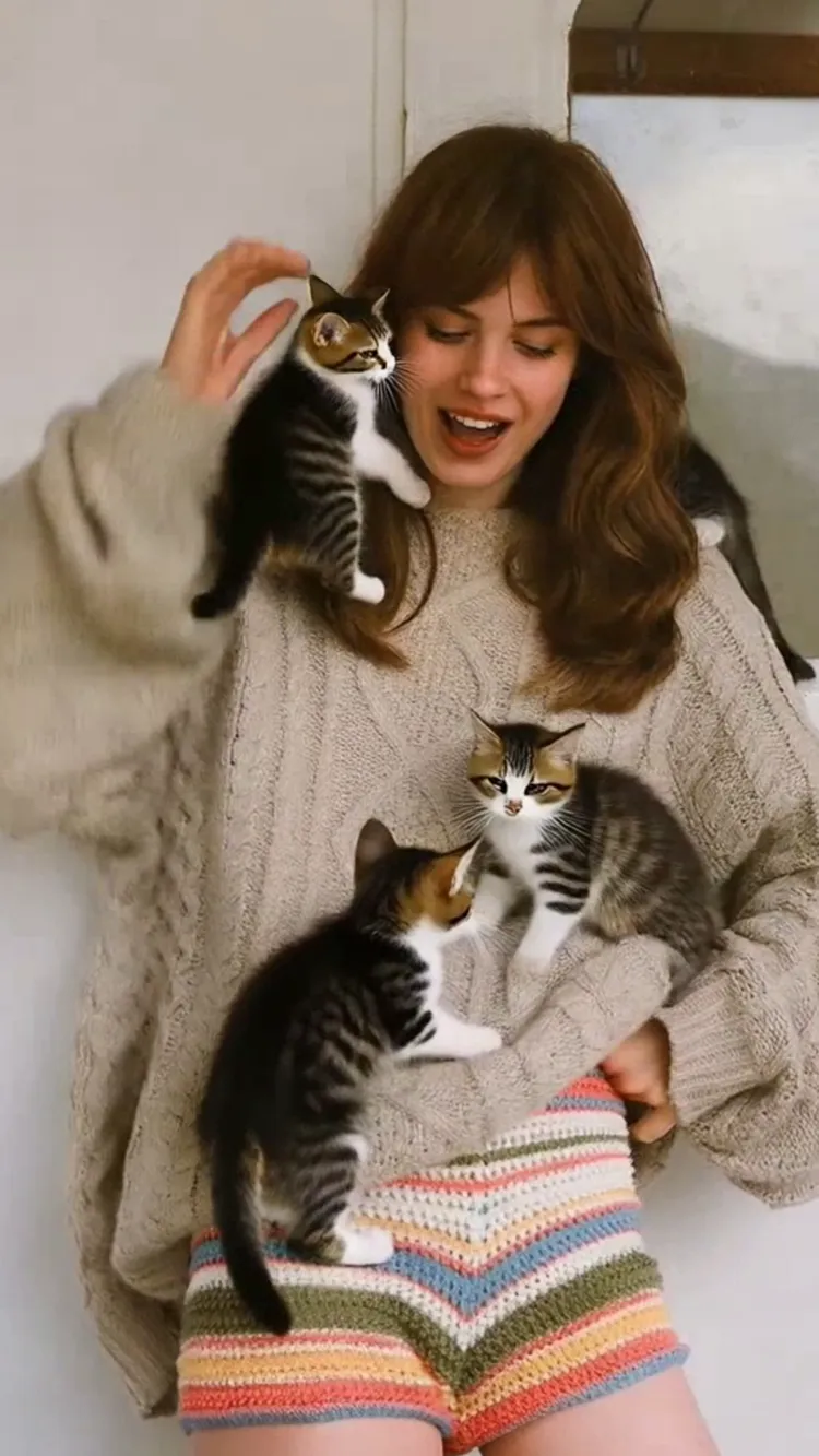 Sorpresa de Abrazo Gatuno